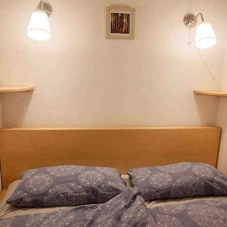 Gemuetliches 2P-Apartment In Ruhiger Lage Dresden Ngoại thất bức ảnh